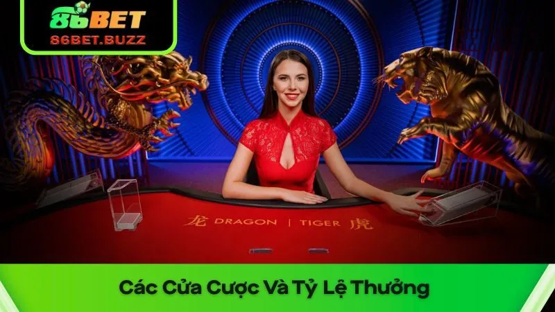 Cách Chơi Rồng Hổ Cho Người Mới - Làm Quen Trong 3 Phút 3 Rồng - hổ hay hòa là các cửa cược trong game này