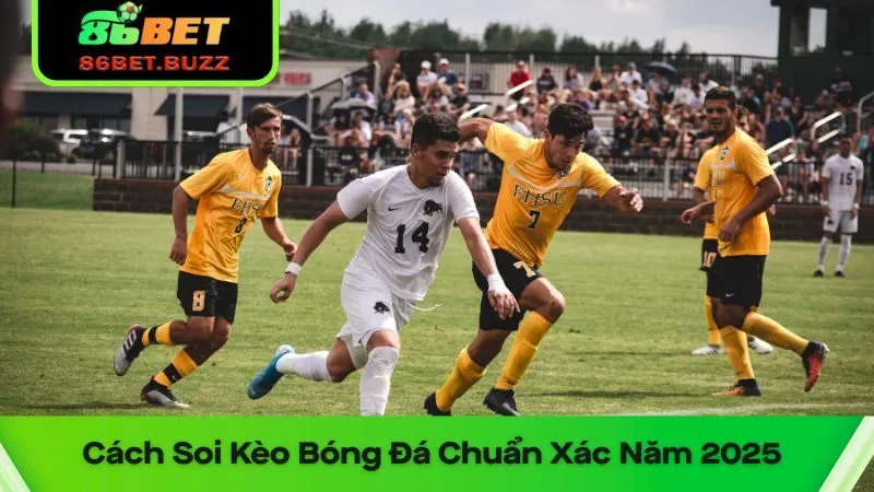 Những Cách Soi Kèo Bóng Đá Chuẩn Xác Năm 2025